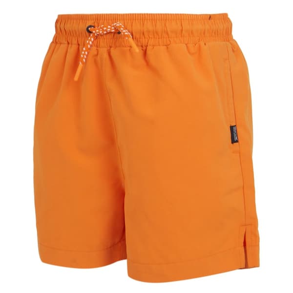 Regatta Barn/ungdomar Skander III enfärgade badshorts