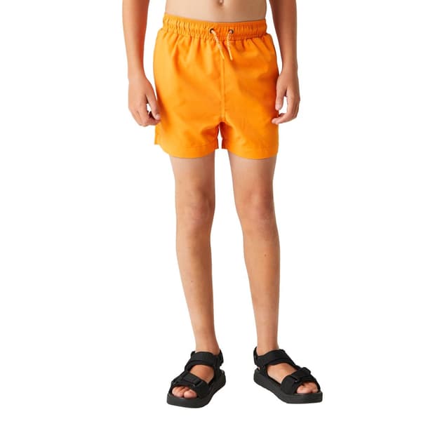 Regatta Barn/ungdomar Skander III enfärgade badshorts
