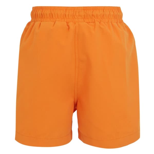 Regatta Barn/ungdomar Skander III enfärgade badshorts