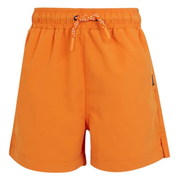 Regatta Barn/ungdomar Skander III enfärgade badshorts