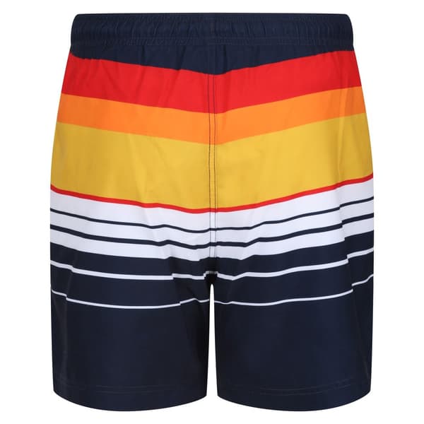 Regatta Mens Loras Striped Swim Shorts