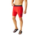 Miniatyrbillede 4 af 5: Regatta Mens Bentham Swim Shorts