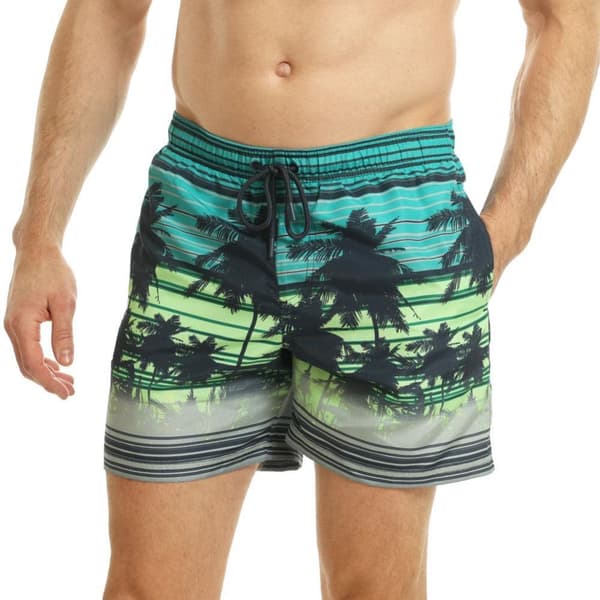 RIPT Essentials Mens Palm Tree Swim Shorts