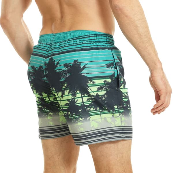 RIPT Essentials Mens Palm Tree Swim Shorts