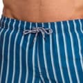 Pikkukuva 3 / 4: RIPT Essentials Mens Stripe Swim Shorts
