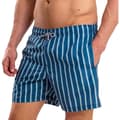 Pikkukuva 4 / 4: RIPT Essentials Mens Stripe Swim Shorts
