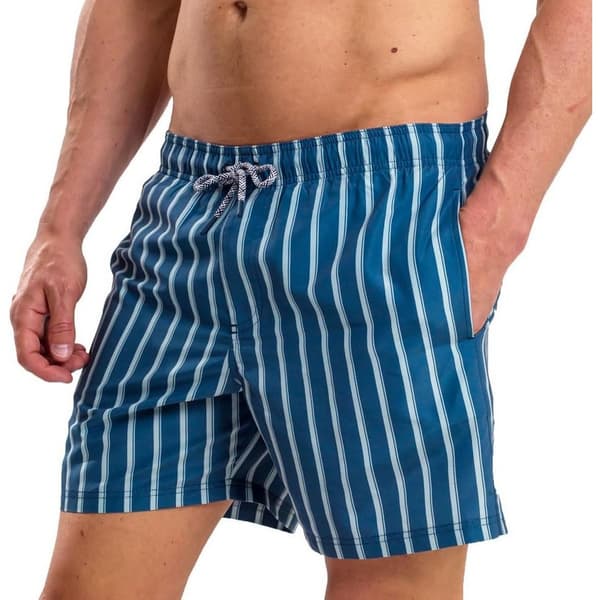 RIPT Essentials Mens Stripe Swim Shorts