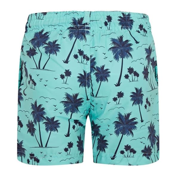 RIPT Essentials Boys Palm Tree Swim Shorts