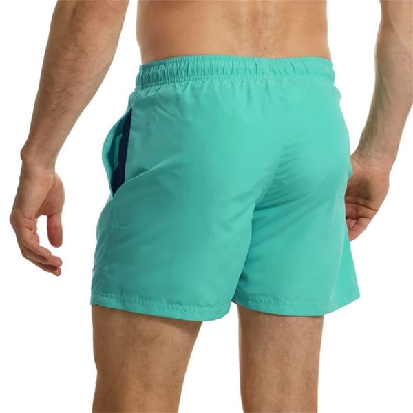 RIPT Essentials Mens Swim Shorts