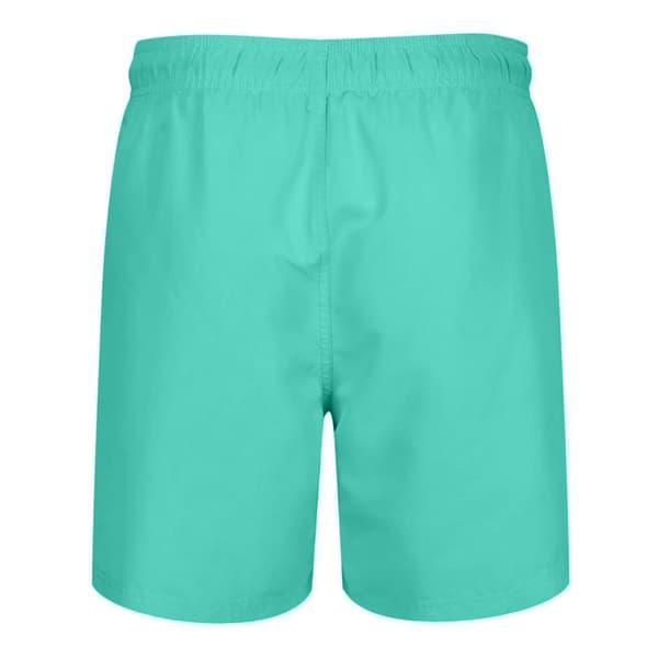 RIPT Essentials Mens Swim Shorts