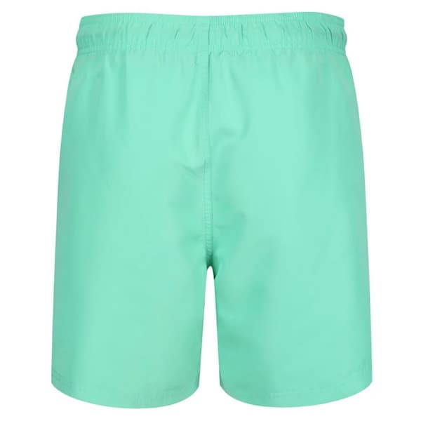 RIPT Essentials Mens Swim Shorts