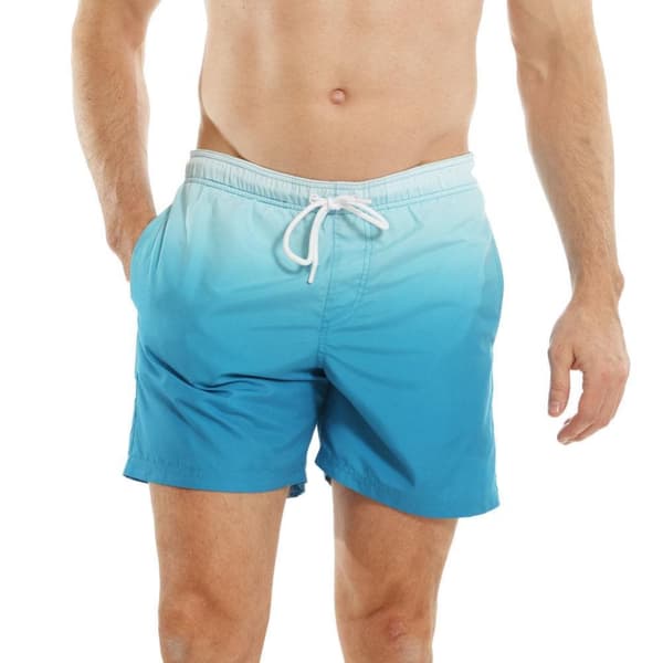 RIPT Essentials Mens Dip Dye Swim Shorts