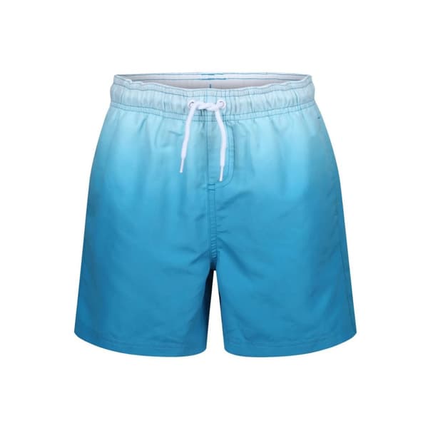 RIPT Essentials Mens Dip Dye Swim Shorts