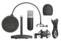 Miniatyrbillede 8 af 10: Trust GXT 252 Emita - USB-studiemikrofon med popfilter - Windows/ Playstation 5