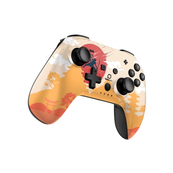 Spelkontroll Multicolour