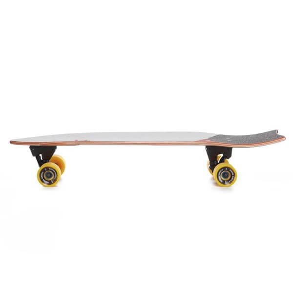 Hydroponic Surfskate Fish 31.5´´ Monivärinen 9.75 Inches