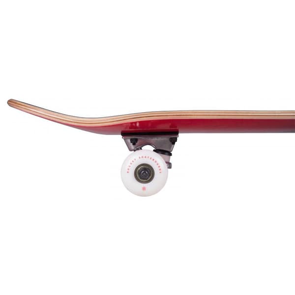 Rocket Skeittilauta Double Dipped 7.5´´ Sininen 29 Inches