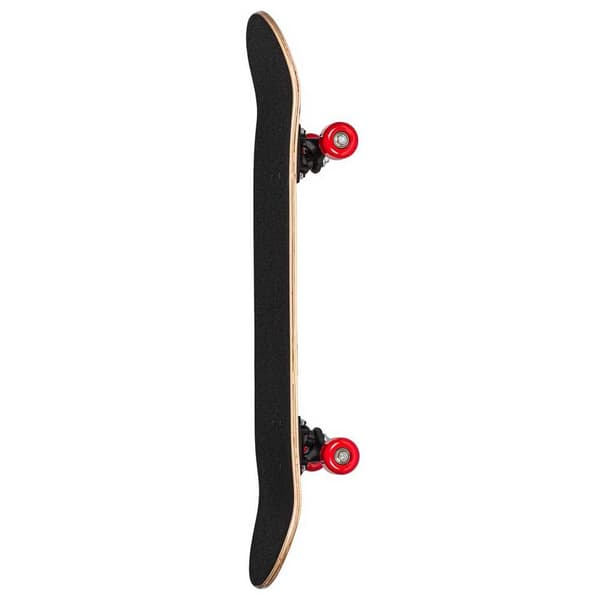 Playlife Skateboard Hotrod 8.0´´ Blå 31 Inches