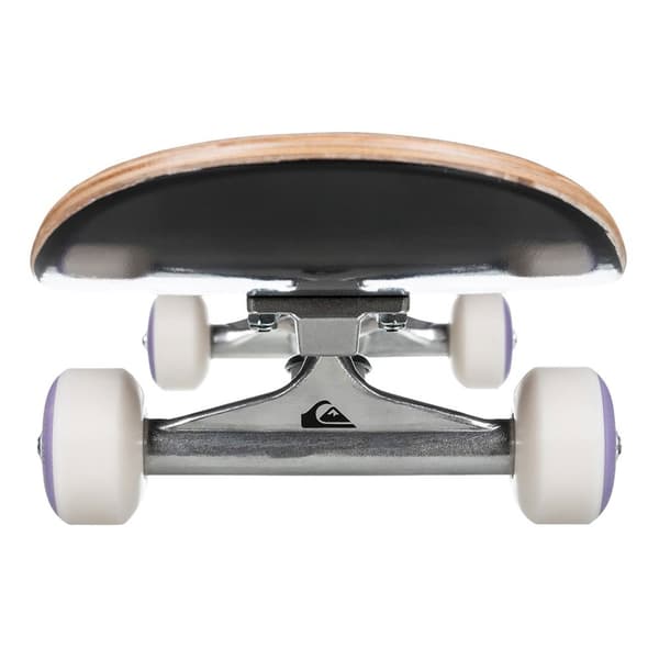Quiksilver Skateboard Flashback 8 Flerfärgad