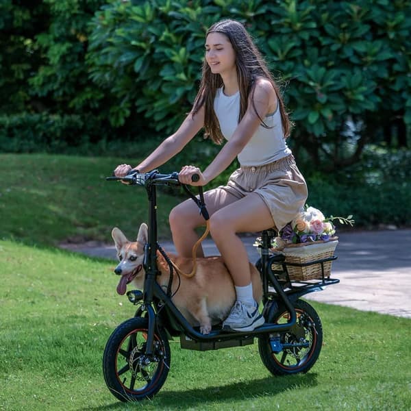 DYU C4 14'' elskoter 250W motor 10AH batteri