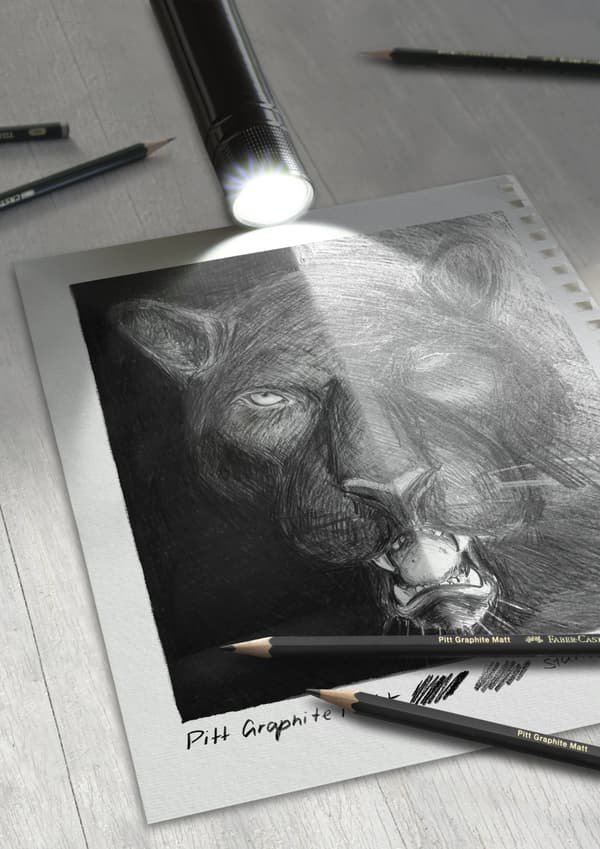 Sett med Pitt Graphite Matt + Castell 9000 med tilbehør 20 deler Faber Castell