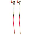 Miniatyrbillede 2 af 9: Leki Alpino Polakker Wcr Gs 3d Flerfarvet 140 cm
