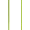 Miniatyrbillede 3 af 5: Gabel Pol Carbon Cross Transparent 115 cm