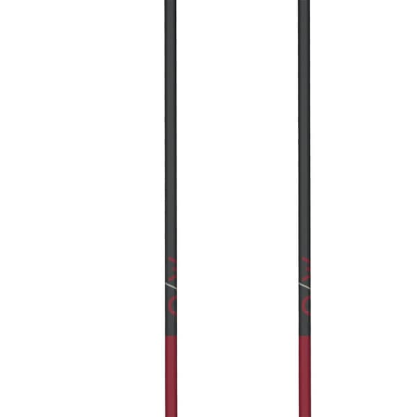 Fischer Pylväät Gt 13 Comp Mag Ruskea 125 cm
