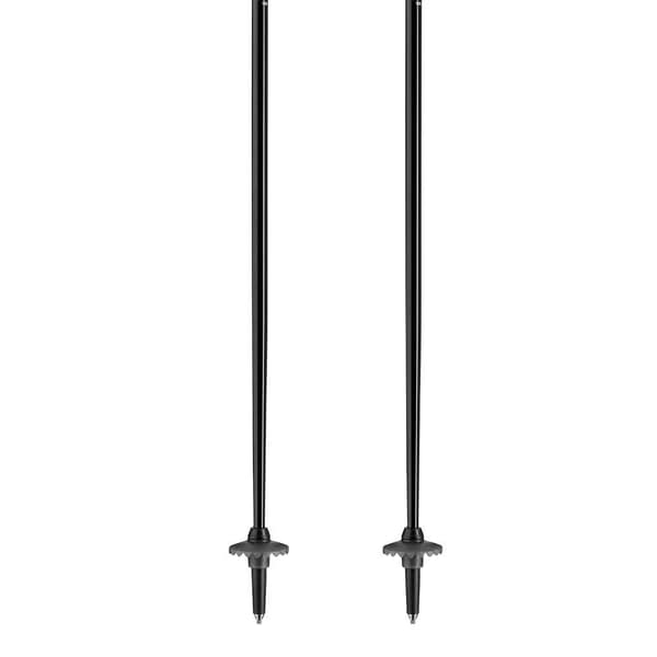 Leki Alpino Pylväät Elite Hopeinen 125 cm