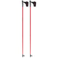 Pikkukuva 2 / 6: Atomic Pylväät Redster Junior Hopeinen 120 cm