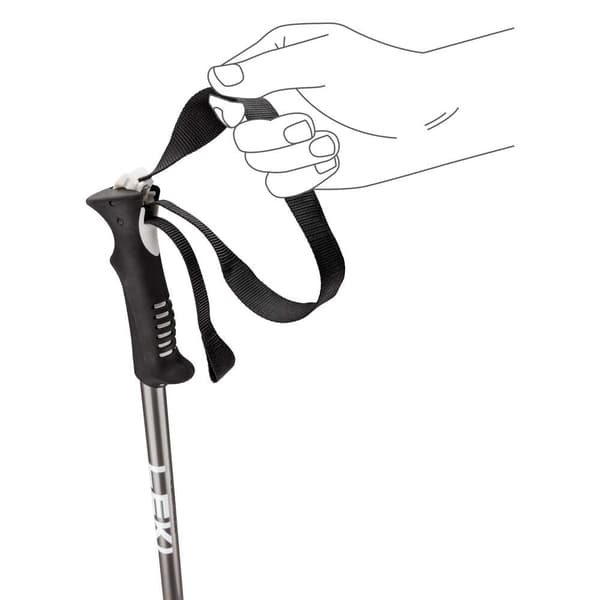 Leki Alpino Pylväät Primacy Hopeinen 115 cm