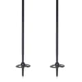 Pikkukuva 4 / 6: K2 Puolalaiset Swift Stick Ski Hopeinen 105-135 cm
