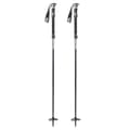 Pikkukuva 2 / 6: K2 Puolalaiset Swift Stick Ski Hopeinen 105-135 cm