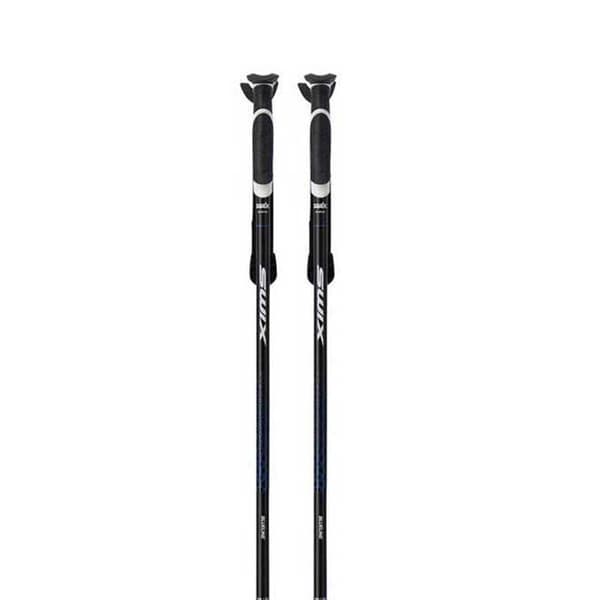 Swix Pylväät Blueline Barracuda Hopeinen 125 cm