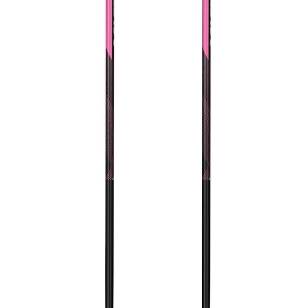 Swix Stolpar Dynamic D3 Durchsichtig 160 cm