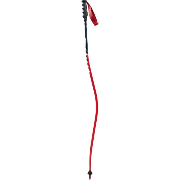 Swix Alpine Skistave World Cup Pro Dh Carbon Rød 125 cm