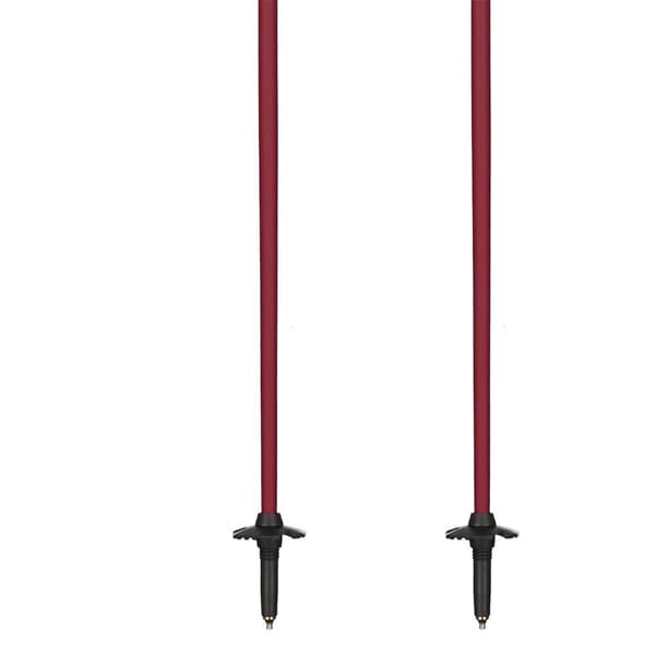 Fischer Gt 13 Comp Mag Stavar Brun 130 cm