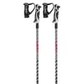 Pikkukuva 1 / 10: Leki Alpino Hot Shot S Pylväät Hopeinen 120 cm
