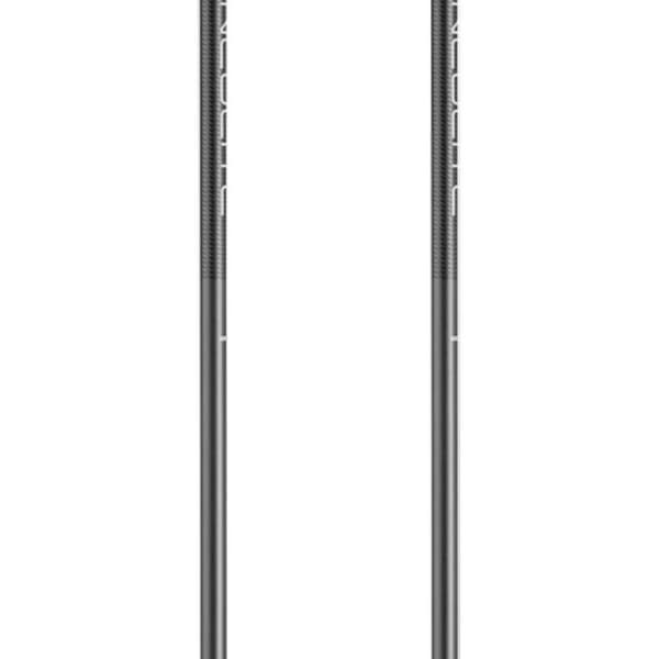 Leki Alpino Neolite Pylväät Hopeinen 110 cm