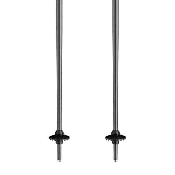 Leki Alpino Neolite Pylväät Hopeinen 110 cm
