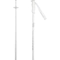 Miniatyrbillede 6 af 6: Rossignol Electra Spadserestokke Transparent 105 cm