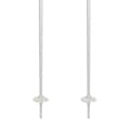 Miniatyrbillede 4 af 6: Rossignol Electra Spadserestokke Transparent 125 cm