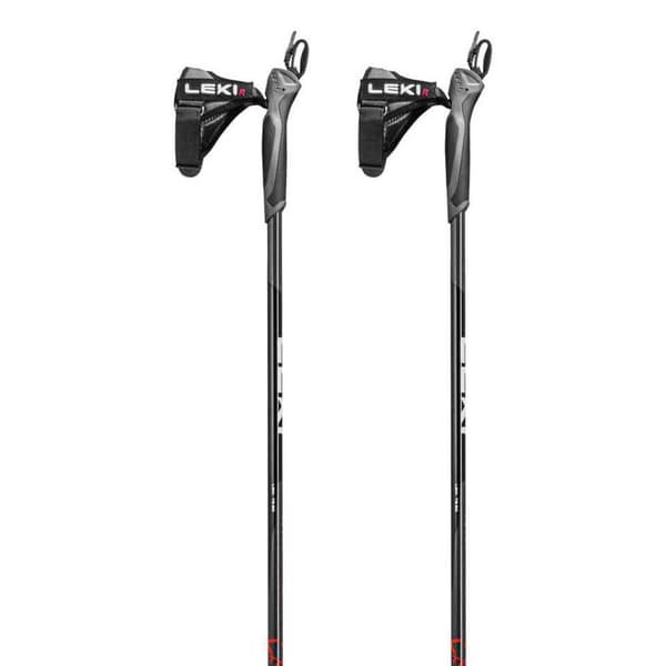 Leki Alpino Xta Track Pylväät Hopeinen 150 cm