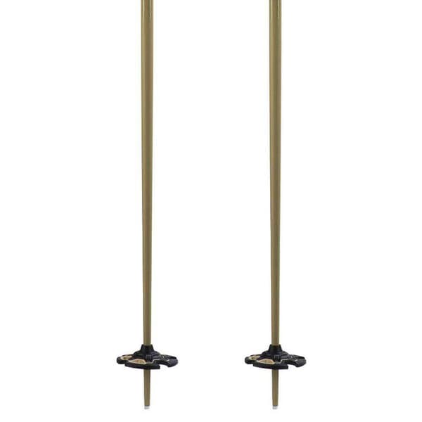 Rossignol Freeride Pro Safety Pæle Sort 110 cm