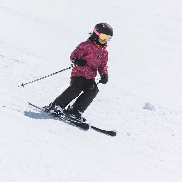 Bolle Rocket Plus Skibriller Rosa Sunshine/CAT3