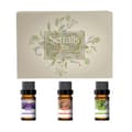 Pikkukuva 1 / 4: Kasvoöljysetti, Luonnolliset Ainesosat, Kosteuttavat Ominaisuudet, Sopii Kaikille Ihotyypeille,10ml 3kpl setti, Jojoba ruusu laventeli, Beige