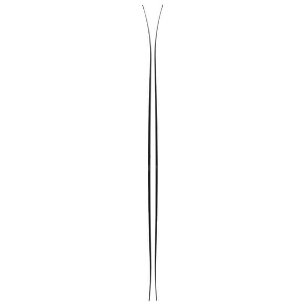 Black Diamond Alppisukset Helio Carbon 95 Valkoinen 169