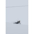 Miniatyrbillede 9 af 10: Extrem Skis Project 83 Alpinski Orange 183
