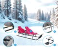 Miniatyrbild 3 av 11: Kälke med ryggstödsduo Skyline twin tandem för barn solid light PL