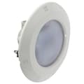 Miniatyrbillede 1 af 2: Astralpool Led Lumiplus Essential 14.5w 1485 Lumen Almindeligt Projektor Transparent
